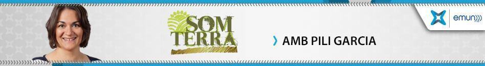 SOM TERRA. GATGAROTUS